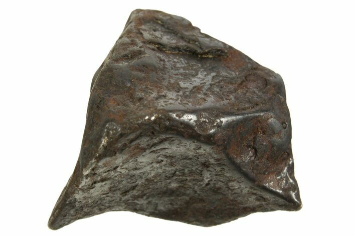 Canyon Diablo Iron Meteorite ( g) - Arizona #335967
